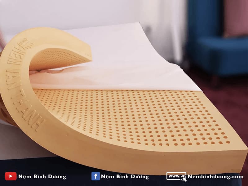 3 Nệm cao su Vạn Thành Standard - Nệm Bình Dương