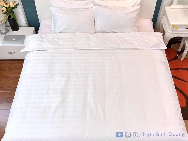 2 Ga trắng sọc 3F - Nệm Bình Dương