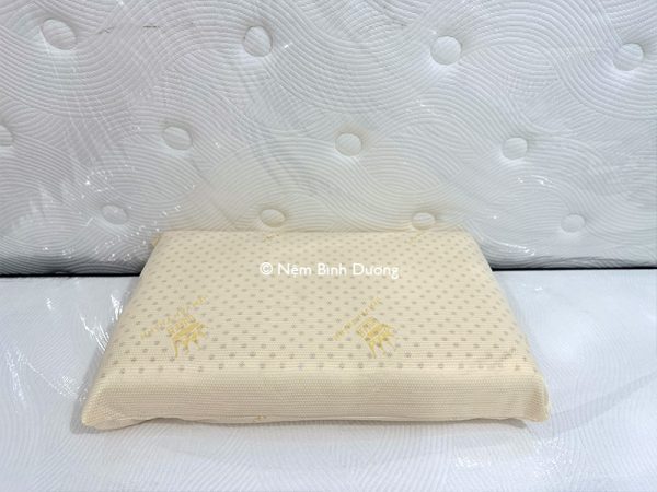 Gối cao su Vạn Thành Oval - Nệm Bình Dương