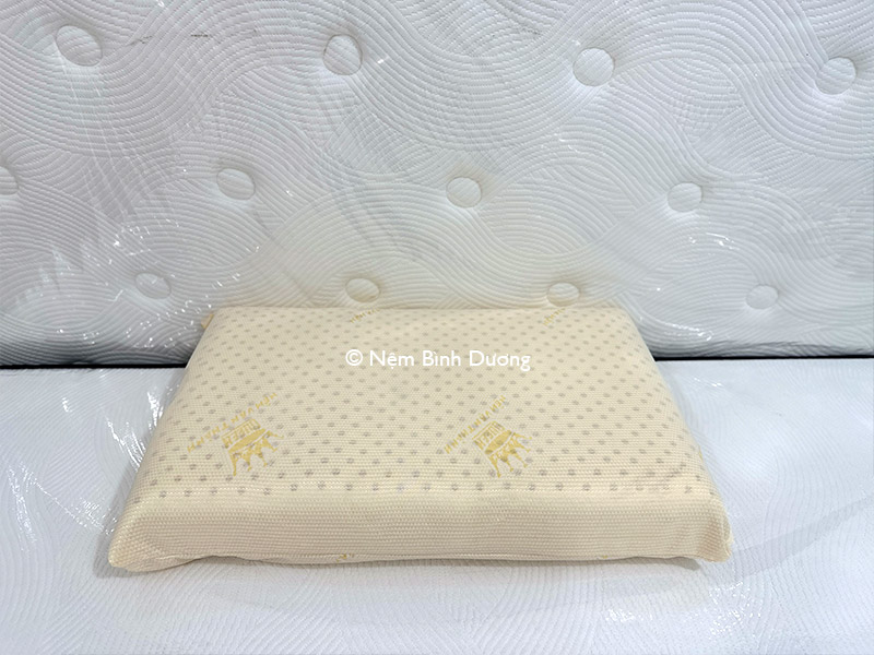 Gối cao su Vạn Thành Oval - Nệm Bình Dương