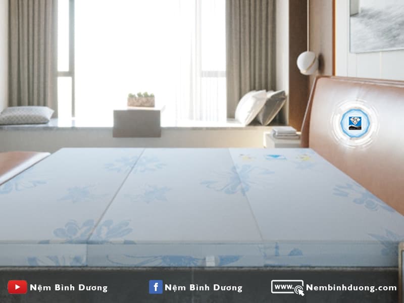 11 Nệm bông ép Acness Kim Cương - Nệm Bình Dương