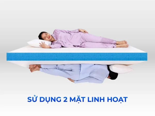 Nệm cao su Aroma Organic - Nệm Bình Dương