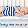 Nệm Liên Á Cho Bé tại Bình Dương - Nệm Bình Dương
