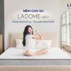 Nệm cao su Liên Á than hoạt tính LA Dome Grey - Nệm Bình Dương