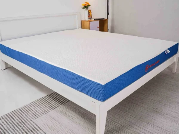 Nệm cao su Liên Kết Natural Rubber - Nệm Bình Dương