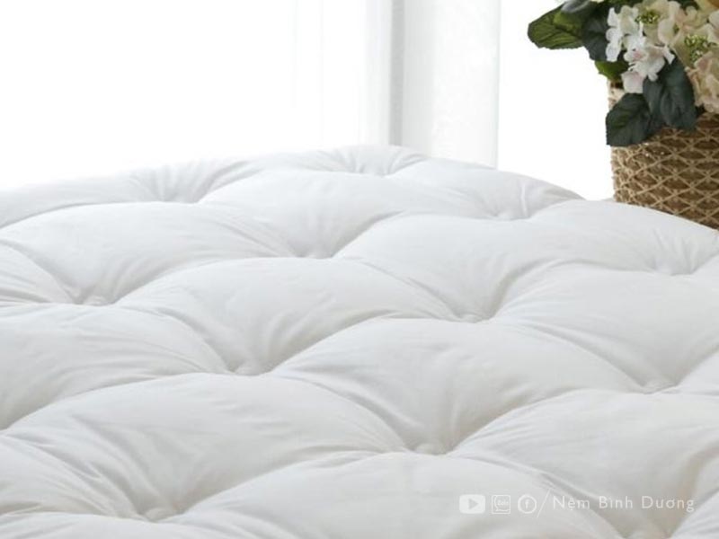 17 Topper Edena Deluxe - Nệm Bình Dương