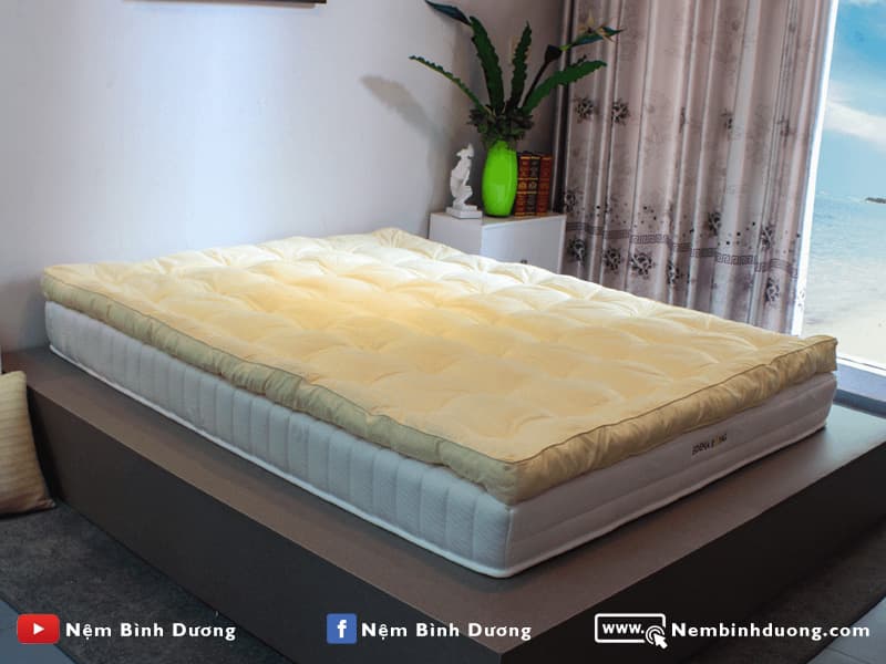 11 Topper Edena Hoàng Gia - Nệm Bình Dương