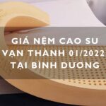 Giá nệm cao su Vạn Thành 01/2022 - Nệm Bình Dương