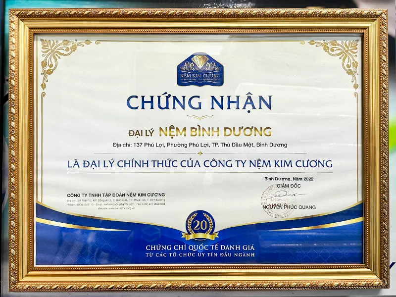 Đại lý Nệm Kim Cương